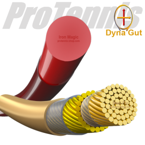 Dyna Gut